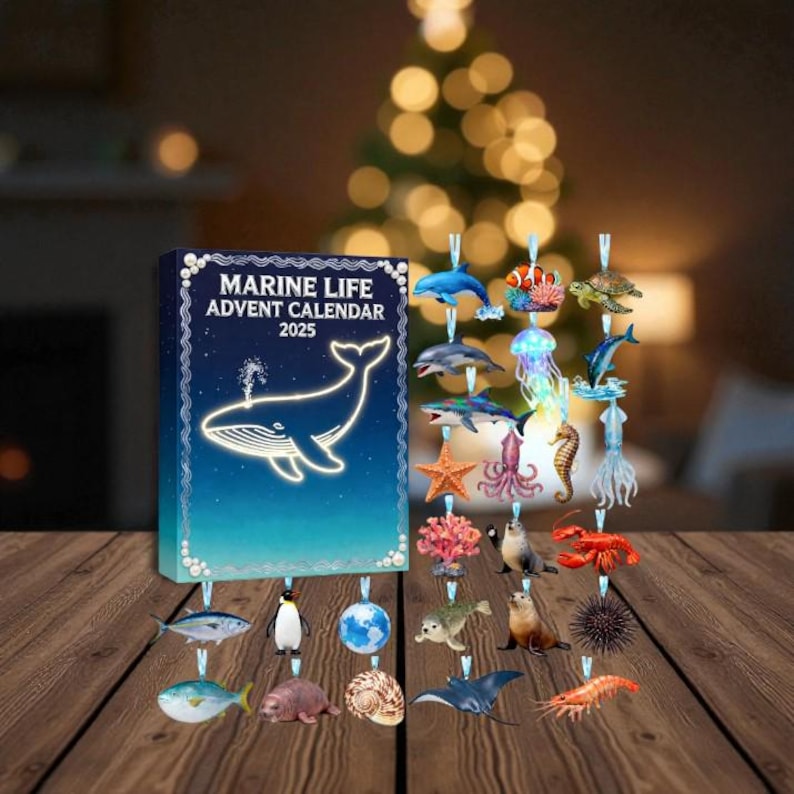 Marine Life Advent Calendar 2025 24 Day Ocean Lover Countdown Box Sea Animal Acrylic Gift Christmas Advent Calendar For Nature Lovers 1763459891530.jpg