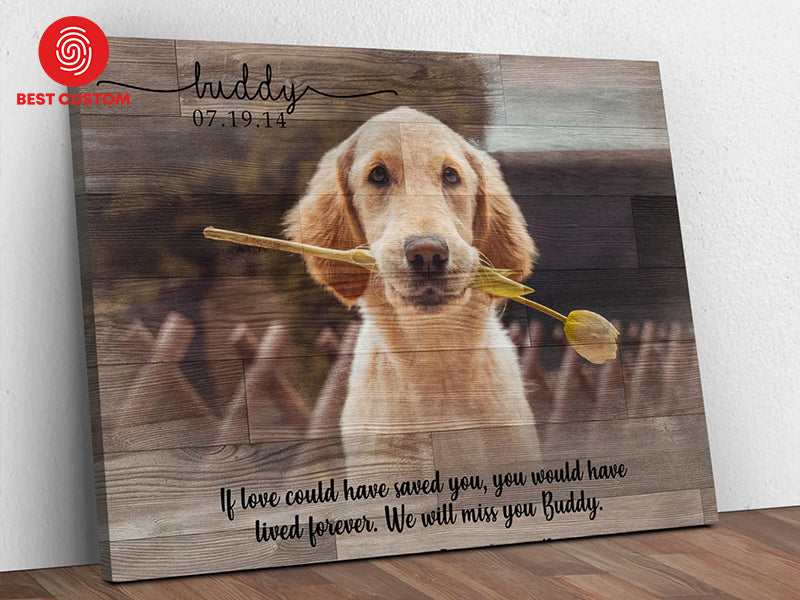 Top 6 Thoughtful Pet Condolence Gifts for Comforting Those Grieving a Pet