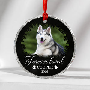 Forever Loved Pet Photo Crystal Ornament - Personalized Crystal Ornament 00c21b82-5f99-4ab8-ae61-9889caafe8ea.jpg