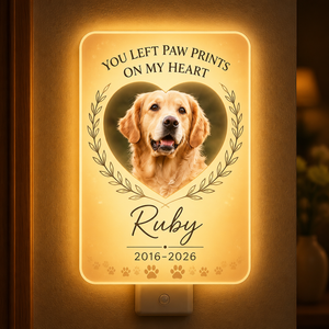 Pet Memorial Acrylic Night Light – You Left Paw Prints On My Heart - Personalized Acrylic Night Light 0329bb57-8102-49b5-852d-cbc8debc0186.png