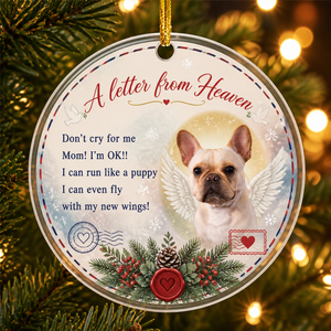 A Letter From Heaven - Pet Memorial Photo Acrylic Ornament - Personalized Transparent Acrylic Ornament 0514a839-a85f-466d-bde6-33ce8407f015.png