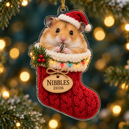 Personalized Hamster Christmas Ornament – Custom Name & Year, Hamster in Stocking Keepsake, Christmas Gift for Hamster Lovers 06adadd7-9dba-4bb7-9732-8abd4b5434d2-Nibbles-2026-hamster-Christmas-ornament.png