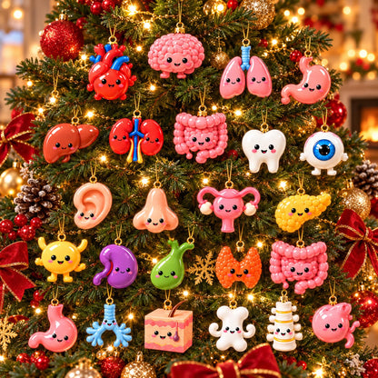 Anatomy Advent Calendar 2026, Human Body Blind Box, Medical Christmas Countdown, Anatomy Ornaments, Gift for Medical Student 080bf459-bfbb-4cc0-8dca-c66bcaf332b9-il_fullxfull.8649253299_gt2z.jpg