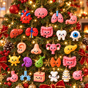 Anatomy Advent Calendar 2026, Human Body Blind Box, Medical Christmas Countdown, Anatomy Ornaments, Gift for Medical Student 080bf459-bfbb-4cc0-8dca-c66bcaf332b9-il_fullxfull.8649253299_gt2z.jpg