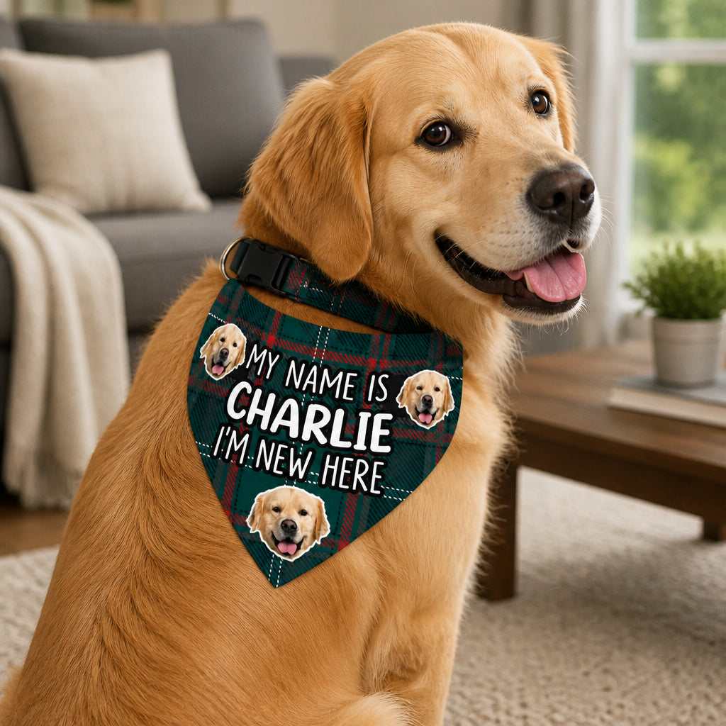 New Puppy Intro Photo Bandana – My Name Is [Pet Name] - Personalized Pet Bandana Collar With Adjustable Buckle 094710ee-2e80-4b76-b174-8bf7fde98f42.jpg