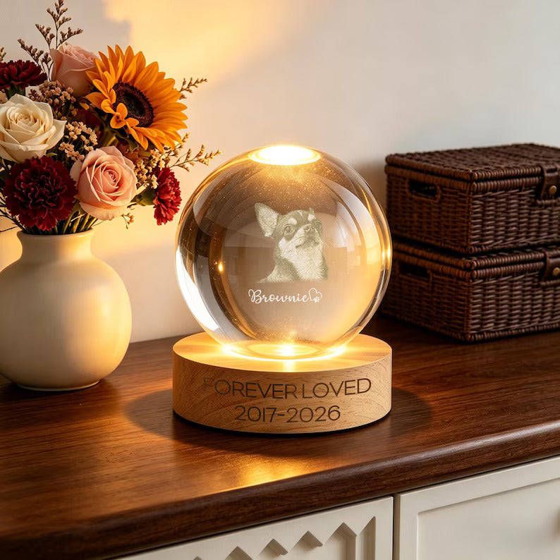 Custom Pet Memorial Night Light,Personalized Pet Portrait Crystal Ball Night Light,Photo Crystal Light,Pet Loss,Pet Memorial Gift for Dog 09799661-c526-411d-a6b4-88bcbe83711c-fghgfhgf-1-.jpg