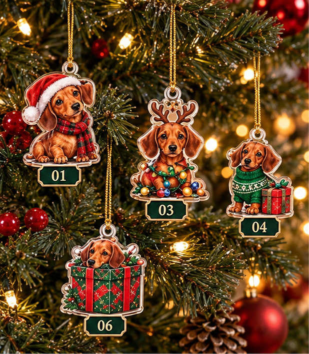 Winston's Dachshund Christmas Advent Calendar 2026, 24 Days of Cute Sausage Dog Surprises, Holiday Countdown Gift for Dog Lovers 0a22e637-11f7-4c46-a874-7da2cd76c95f-dog_ornament_split_1_1.png