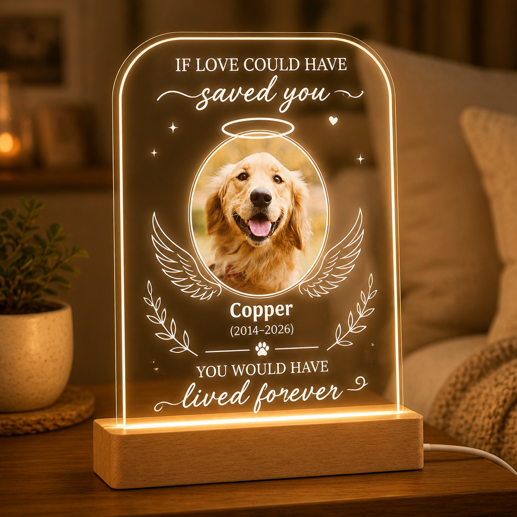 Pet Memorial Angel Wings Acrylic Night Light – Photo, Name & Years - Personalized Acrylic Night Light 0b78de47-8c33-4f90-86e8-fa171ec35e17.png