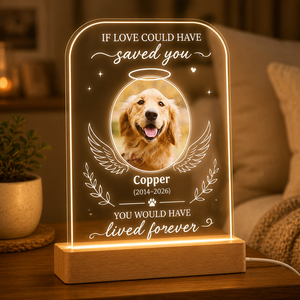 Pet Memorial Angel Wings Acrylic Night Light – Photo, Name & Years - Personalized Acrylic Night Light 0b78de47-8c33-4f90-86e8-fa171ec35e17.png