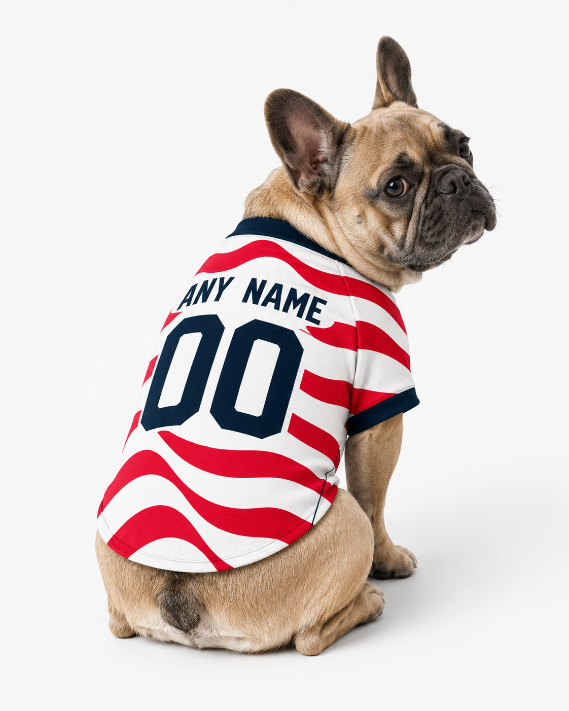 USA Dog Tshirt Pet Clothes Jersey Style Custom Name and Number Pet Clothes Gifts