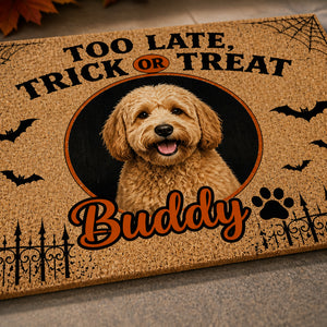 Halloween Trick or Treat Pet Photo Doormat - Personalized Doormat 0c74f1e2-a0d1-4571-9e4c-35a3dd25b15f.jpg
