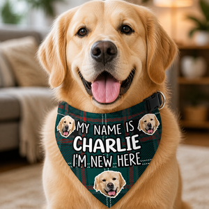 New Puppy Intro Photo Bandana – My Name Is [Pet Name] - Personalized Pet Bandana Collar With Adjustable Buckle 0ceca17e-0d40-44c4-8f52-98e5e36d1158.png