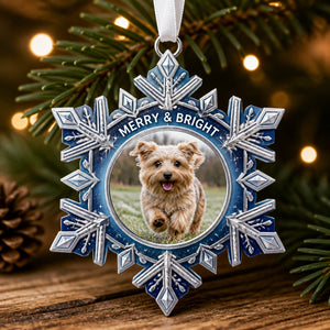 Frosted Silver Snowflake Photo Ornament — Personalized Pet/Family Picture - Personalized Ornament 0dd97e15-d4be-4a02-83be-ef27d451c470.jpg