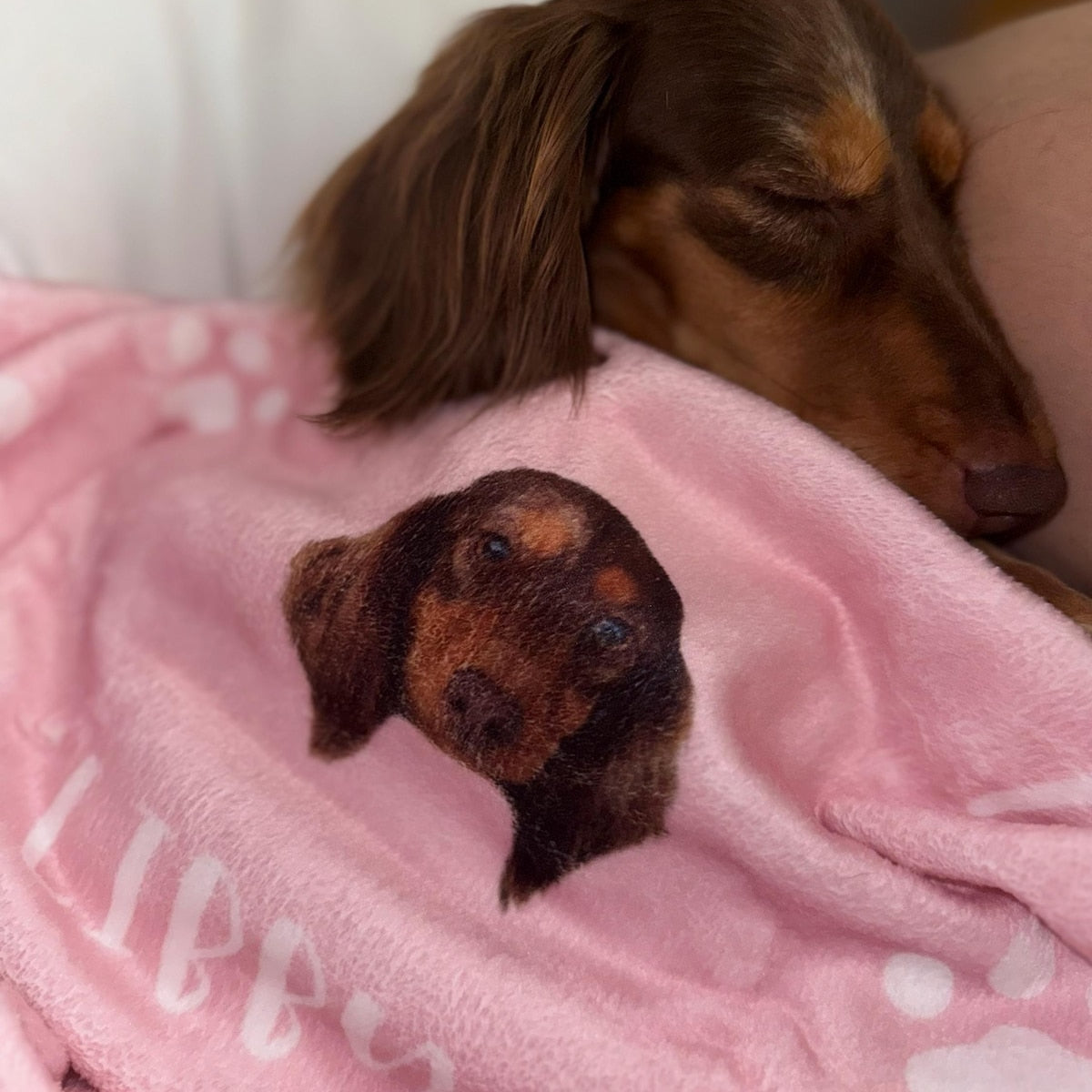 Personalized Dog Blanket with Name | Custom Photo Blanket for Dog | Custom Pet Photo Blanket | Personalized Dog Lover Gift | Gift for Pet 0f2f8026-446c-4b17-9bee-8c18a249a6e5-iap_1200x1200.6270969353_fpwb6d09.jpg