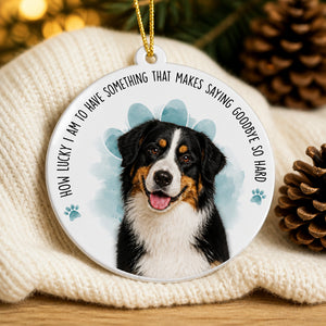 Pet Memorial Photo Ornament – "How Lucky I Am…" - Personalized Aluminum Ornament 0fc4a767-4f35-4887-9dcb-280c747cdfd4.jpg