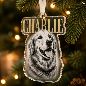 Custom Pet Name Etched-Style Acrylic Ornament - Personalized Transparent Acrylic Ornament 10d63df5-06e0-4a24-928e-5c7fb16a5408.jpg