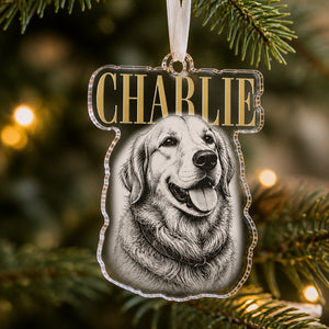 Custom Pet Name Etched-Style Acrylic Ornament - Personalized Transparent Acrylic Ornament 114b587b-e10c-4852-98ef-79082cb3fdcb.jpg