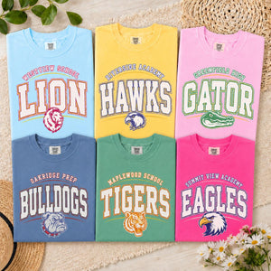 Comfort Colors Custom Mascot Striped Shirt, School Spirit Shirt, Back To School Tee, Custom Mascot Shirt, Test Day Shirt, School Spirit Tee 13403cae-14d9-48d1-8f14-c059872ca096-banner-1.jpg