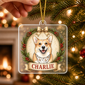Custom Pet Photo to Illustration Name Ornament - Personalized Transparent Acrylic Ornament 140c8319-5eac-4870-9d8a-71e07d09ea04.png