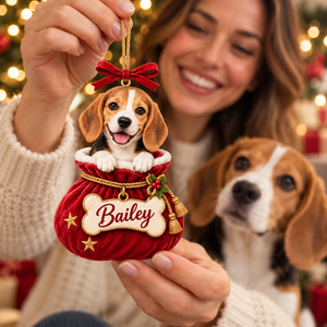 Personalized Dog Christmas Ornament – Custom Pet Photo & Name, 3D Relief Santa Sack Ornament, Christmas Gift for Dog Lovers 1451f4f2-afc0-4065-b9dc-682b260f1e67-Bailey-Beagle-Ornament-Christmas-Gift-Reveal-2.png