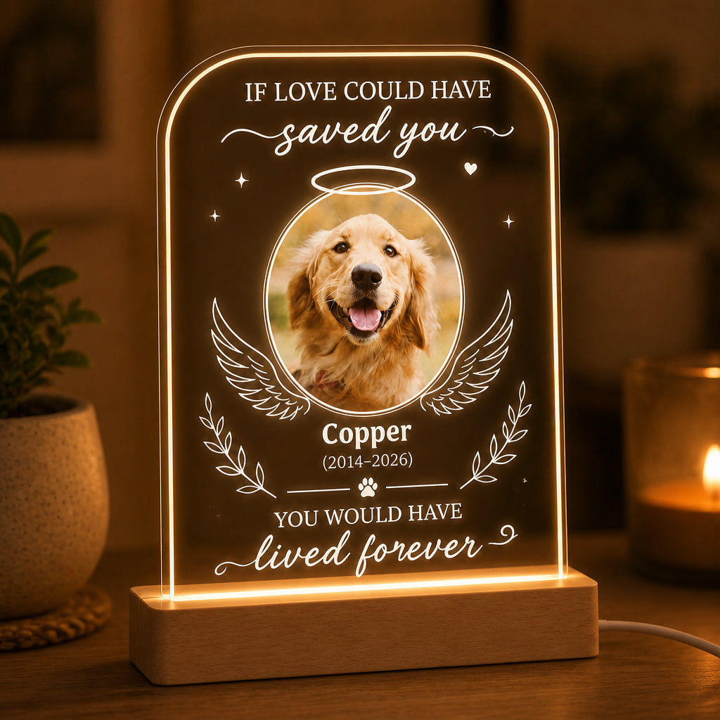 Pet Memorial Angel Wings Acrylic Night Light – Photo, Name & Years - Personalized Acrylic Night Light 159fbbd5-4fae-420f-b52b-4b45ff4a2358.jpg