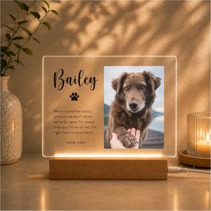 Pet Memorial Plaque, Personalized Gifts for Pet Loss, Sympathy Gift for Cat, Dog and Any Other Animals 15e761f3-82ec-48c4-89de-d1f022ea7037-uyuiuy.jpg
