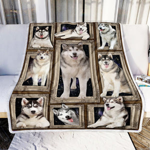 Dog Blanket, Gift For Husky Lover 1603217304783.jpg