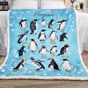 Penguin Blanket, Penguin Lovers 1603217318272.jpg