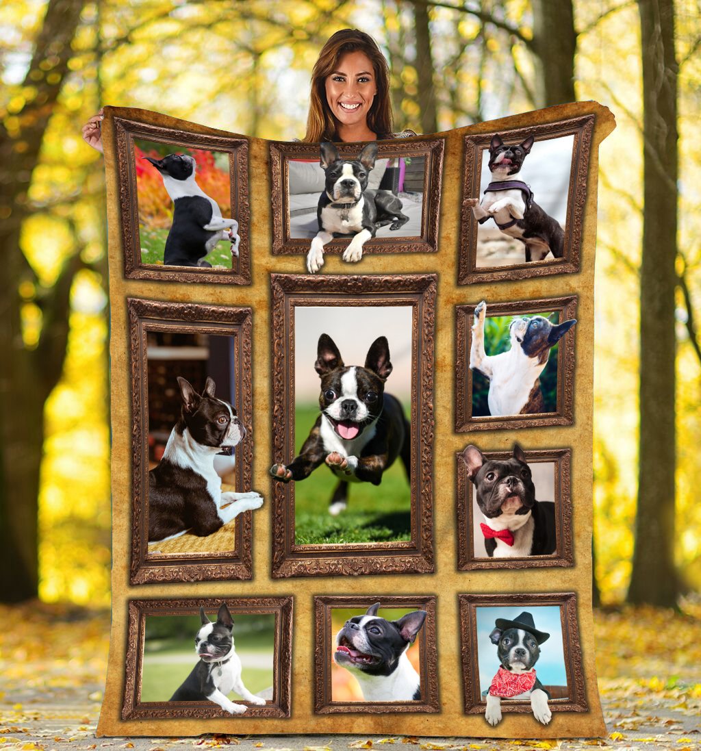 3d Boston Terrier Dog Fleece Blanket - Quilt Blanket - Gift For Dog Lover | Christmas Gift 1605721848091.jpg
