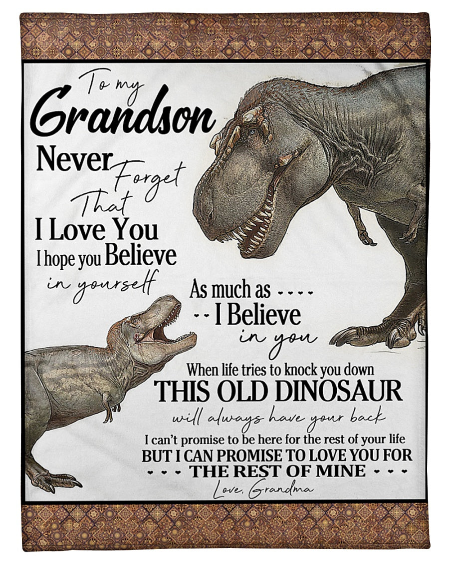 Gift For Grandson Blanket, Grandma To My Grandson This Old Dinosaur Will Always Have Your Back 1607356923120.jpg