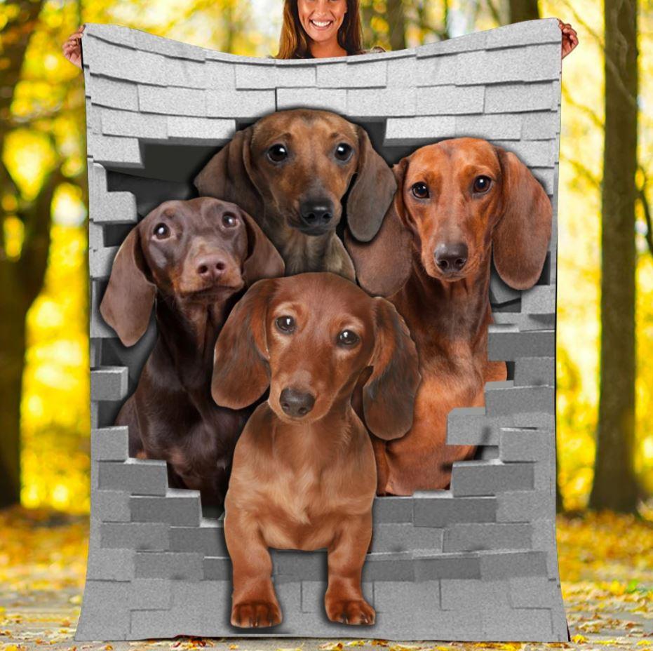 Cute Dachshund Dog Lovers Gift Fleece Blanket - Quilt Blanket 1608136065151.jpg