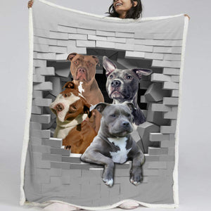 Great Pit Bulls Fleece Blanket - Quilt Blanket, 1612490580598.jpg