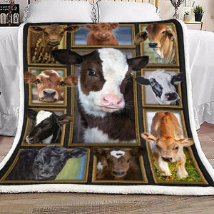 Cow Cute Cows  Sherpa Fleece Blanket 1626749246021.jpg
