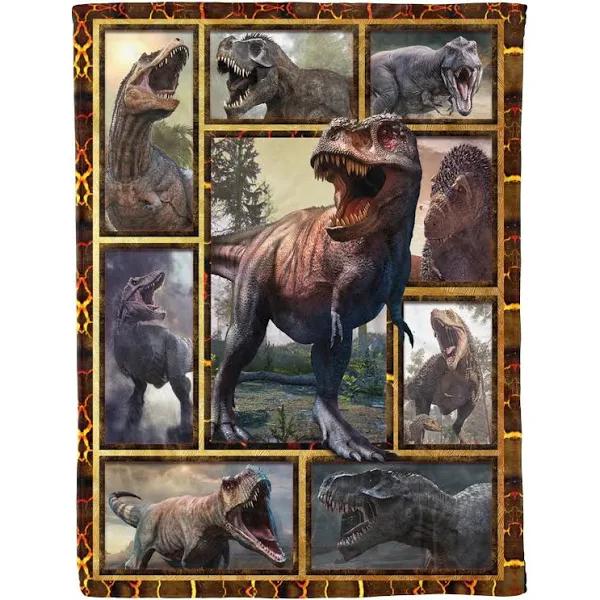 Dinosaur Fleece Blanket 1628561762374.jpg