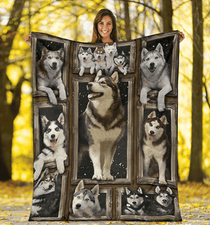 Black & White Husky 3d Blanket Gift For Husky Dog Lovers Gift For Friend Family Home Decor Bedding Couch Sofa Soft And Comfy Cozy 1629078723334.png