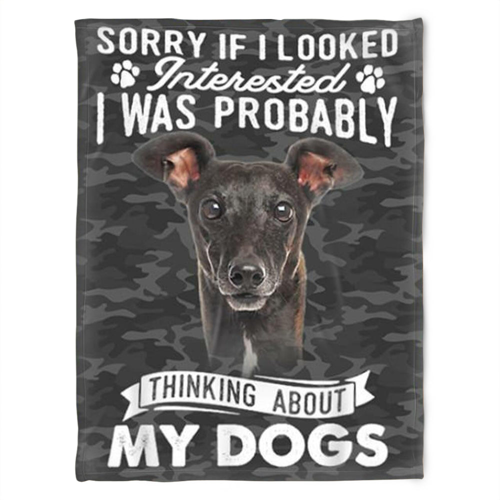 Interested I Was Probably, Fleece Blanket.gift For People Family Home Decor Bedding Couch Sofa Soft And Comfy Cozy 1631862311910.jpg