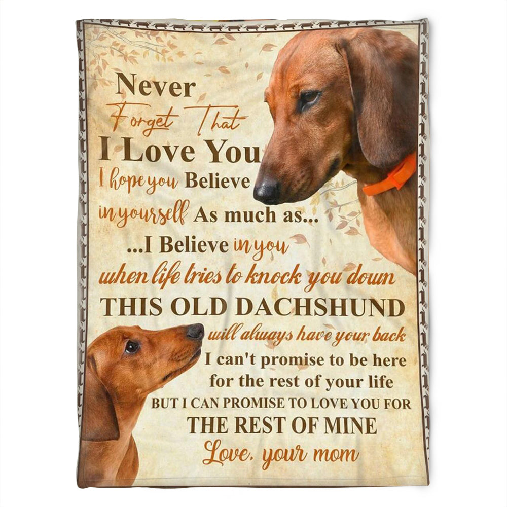 This Old Dachshund, I Love You. Gift For People Family Home Decor Bedding Couch Sofa Soft And Comfy Cozy 1632109957463.jpg