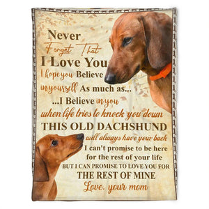 This Old Dachshund, I Love You. Gift For People Family Home Decor Bedding Couch Sofa Soft And Comfy Cozy 1632109957463.jpg