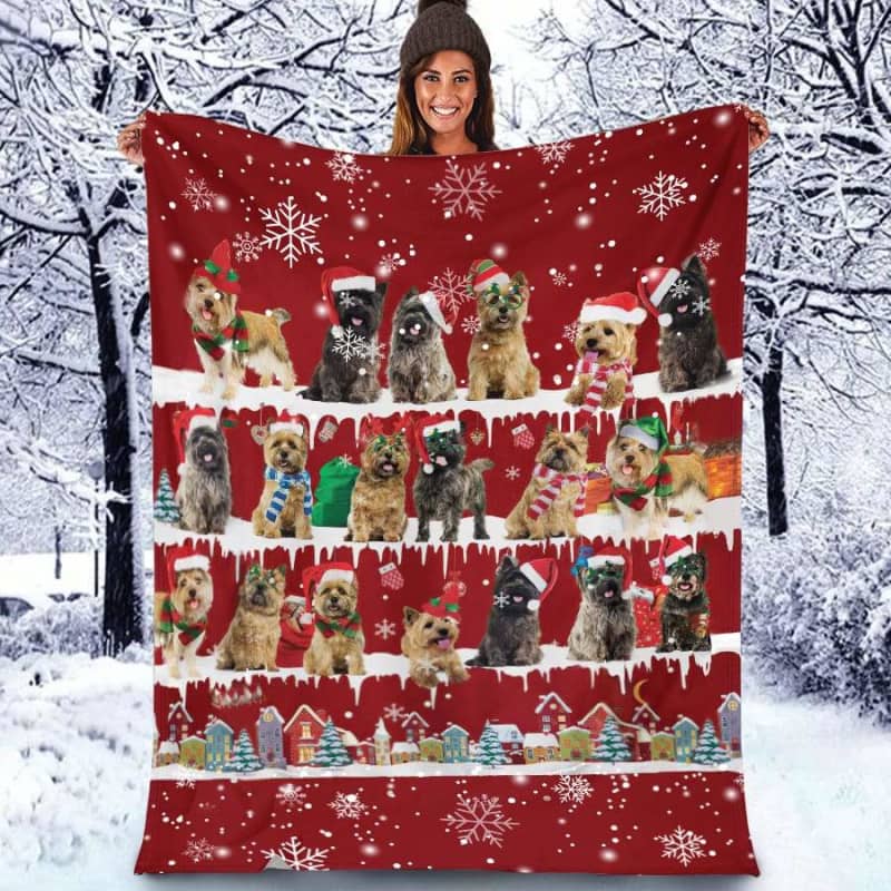 Cairn Terrier Merry Christmas Noel Blanket Gift For Dog Lovers, Gift For Christmas, Birthday Gift Home Decor Bedding Couch Sofa Soft And Comfy Cozy 1634116675580.jpg
