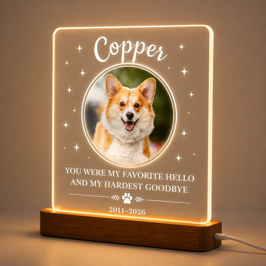 Pet Memorial LED Acrylic Light — Favorite Hello Hardest Goodbye - Personalized 3D LED Light Wooden Base 16378211-5060-42a0-bb40-237328a3bad9.jpg
