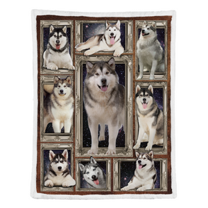 Dog Blanket, Gift For Husky Lover 1641289254628.png