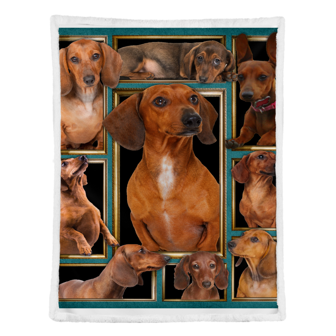 Dog Blanket - Dachshund Picture Fleece Blanket - Quilt Blanket 1641438910284.png