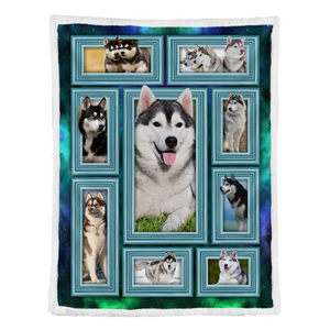 Amazing Siberian Husky Fleece Blanket 1641441719832.png