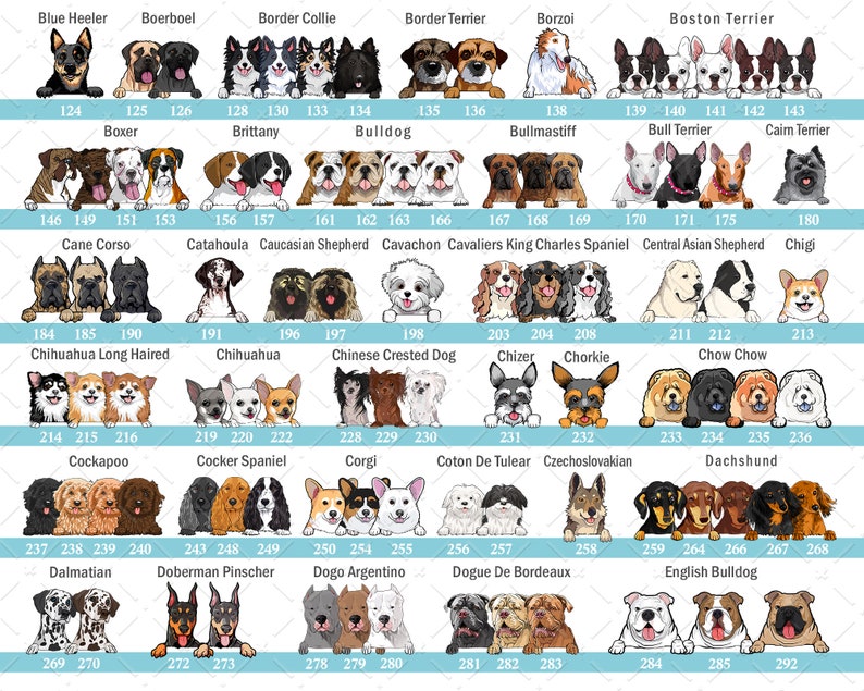 Just A Woman Who Loves Dogs And Books Personalized Blanket Gift For Dog And Book Lovers Birthday Gift Home Decor Bedding Couch Sofa Soft 1644224478141.jpg