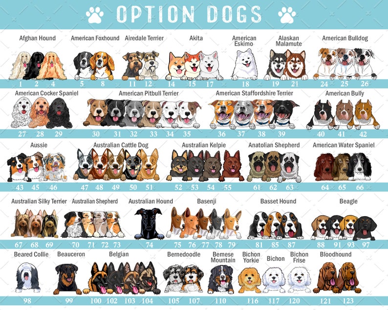 Just A Woman Who Loves Dogs And Books Personalized Blanket Gift For Dog And Book Lovers Birthday Gift Home Decor Bedding Couch Sofa Soft 1644224478824.jpg