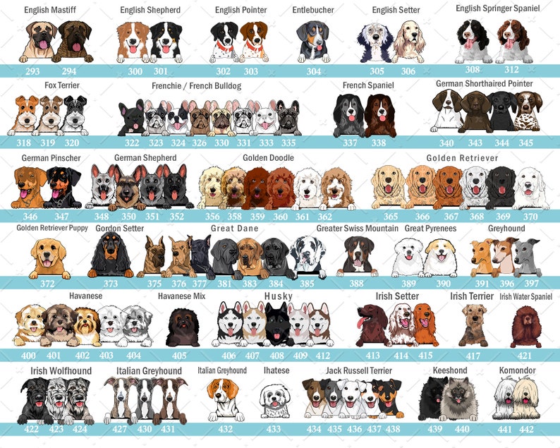 Just A Woman Who Loves Dogs And Books Personalized Blanket Gift For Dog And Book Lovers Birthday Gift Home Decor Bedding Couch Sofa Soft 1644224478972.jpg