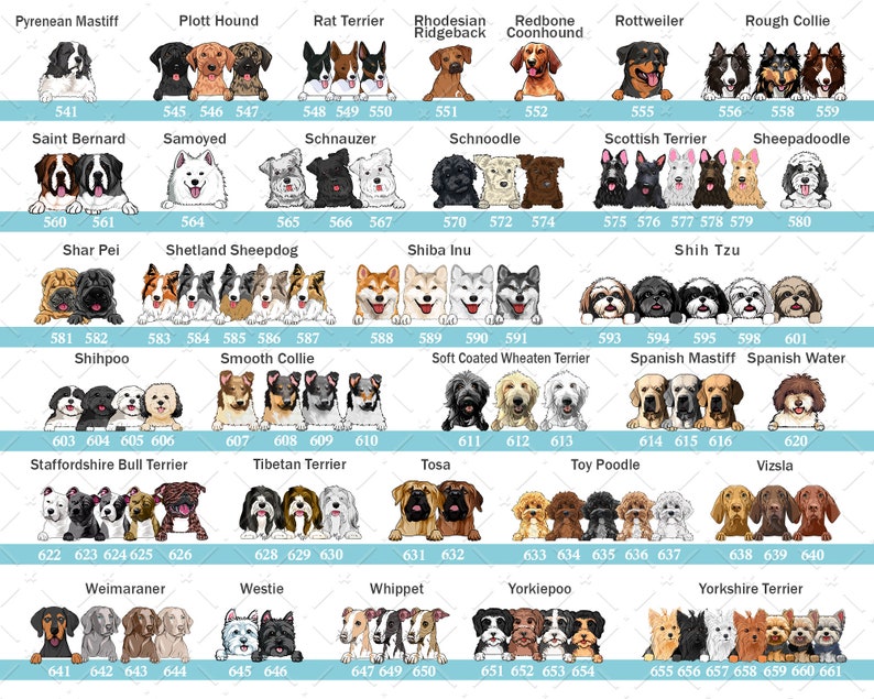 Just A Woman Who Loves Dogs And Books Personalized Blanket Gift For Dog And Book Lovers Birthday Gift Home Decor Bedding Couch Sofa Soft 1644224479081.jpg