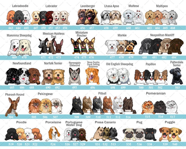 Just A Woman Who Loves Dogs And Books Personalized Blanket Gift For Dog And Book Lovers Birthday Gift Home Decor Bedding Couch Sofa Soft 1644224479175.jpg