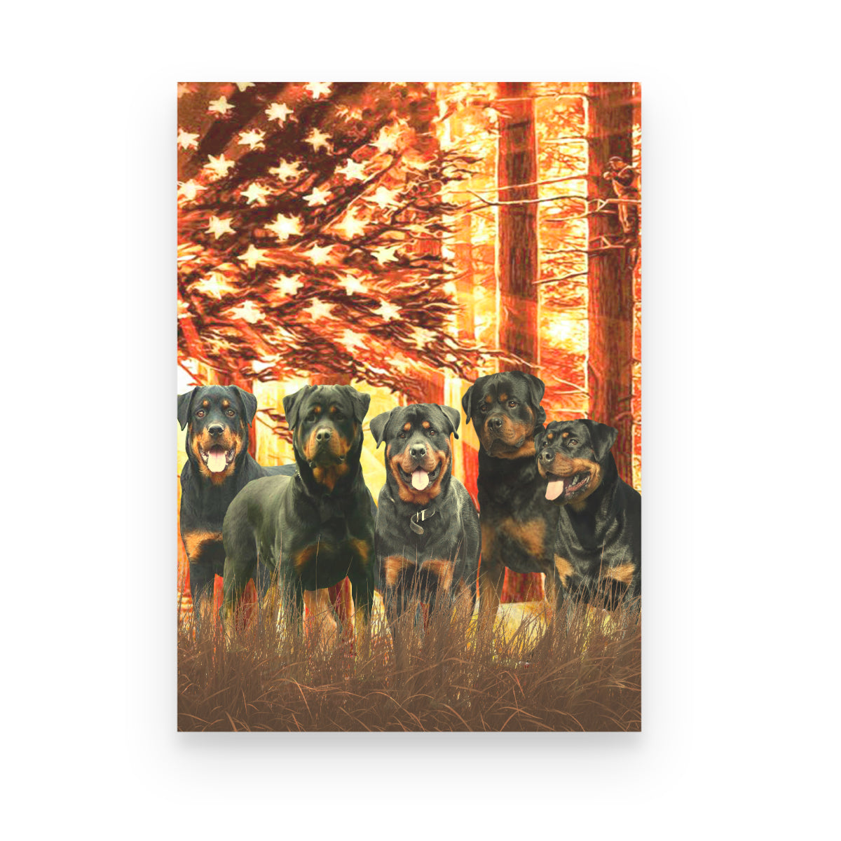 Rottweiler American Flag Sunshine Canvas 1645696644080.jpg