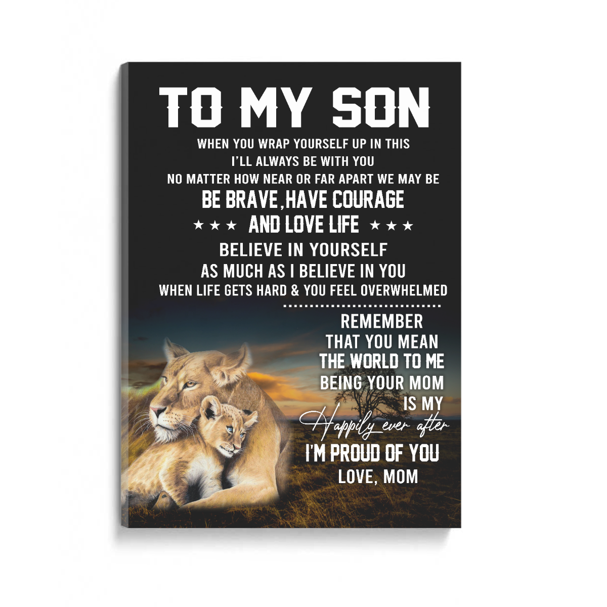To my son Canvas 1645760867233.jpg